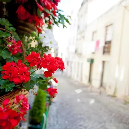With One Bedroom In With Wonderful City View Balcony And Wifi 12 Km From The Beach * Lisbon