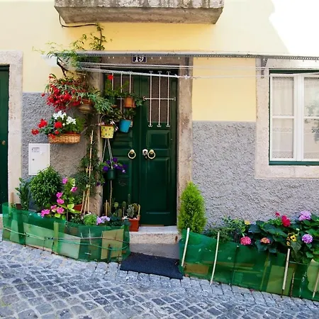 With One Bedroom In With Wonderful City View Balcony And Wifi 12 Km From The Beach Apartment Lisbon